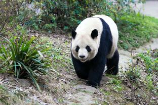 张伟丽：出去备赛特别想家想中国好吃的 晓楠会有收获和进步